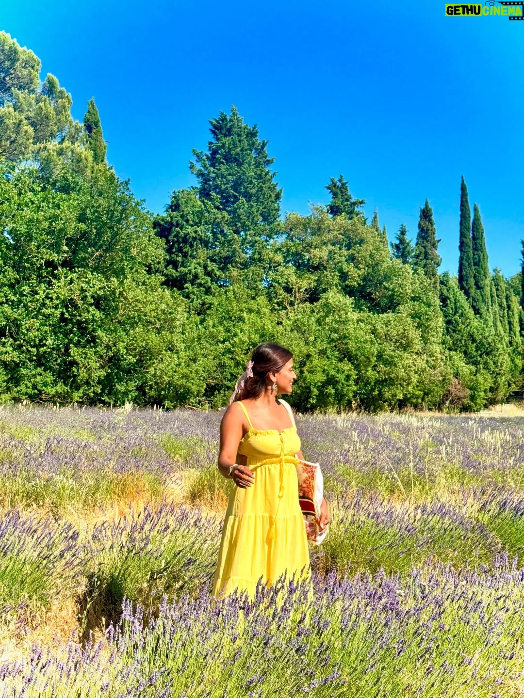 Sameeksha Takke - 52.3K Likes - Like a sunflower lost in lavender fields who is scared of Bees 🌻
.
.
Provence Vlog ka revision karlo Youtube pe ✨ New video coming today ❤️
.
.
.
Love you photographer @roopvermaa 
.
#aixenprovence #StInEurope #france #sameekshatakke #travel #potraits #provence #lavender #lavenderfields #travelgram #atrangiwomaniya