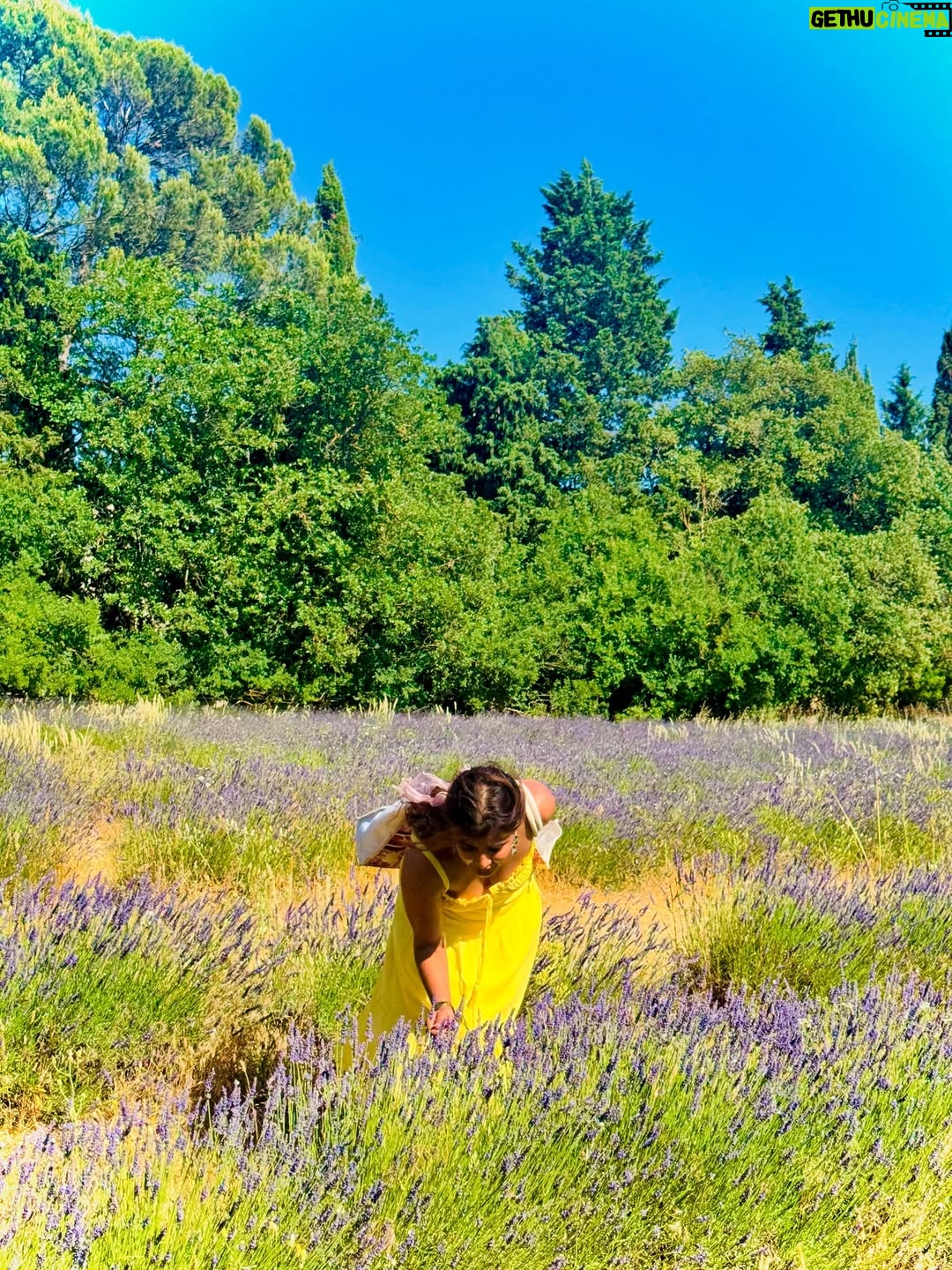 Sameeksha Takke - 52.3K Likes - Like a sunflower lost in lavender fields who is scared of Bees 🌻
.
.
Provence Vlog ka revision karlo Youtube pe ✨ New video coming today ❤️
.
.
.
Love you photographer @roopvermaa 
.
#aixenprovence #StInEurope #france #sameekshatakke #travel #potraits #provence #lavender #lavenderfields #travelgram #atrangiwomaniya