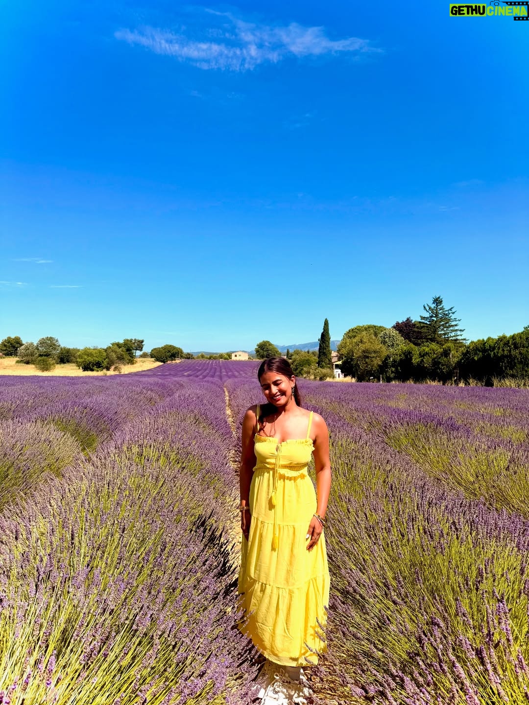 Sameeksha Takke - 52.3K Likes - Like a sunflower lost in lavender fields who is scared of Bees 🌻
.
.
Provence Vlog ka revision karlo Youtube pe ✨ New video coming today ❤️
.
.
.
Love you photographer @roopvermaa 
.
#aixenprovence #StInEurope #france #sameekshatakke #travel #potraits #provence #lavender #lavenderfields #travelgram #atrangiwomaniya