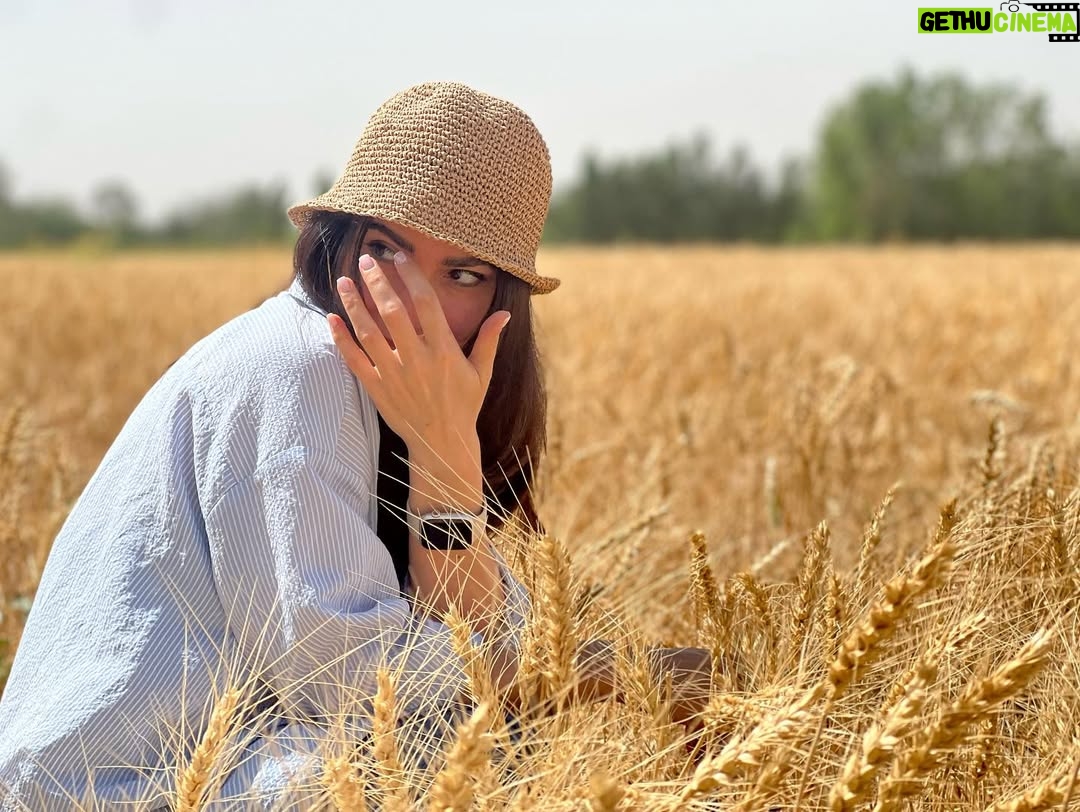 Samira Hassanpour - 16.2K Likes - 🌾🌾🌾
آرزو کن!
آرزو کن آن اتفاق قشنگ رخ بدهد...
رویا ببارد
دختران برقصند
قند باشد
بوسه باشد
خدا بخندد به خاطر ما
ما که کاری نکرده ایم......
سید علی صالحی
@saman_salour 📸