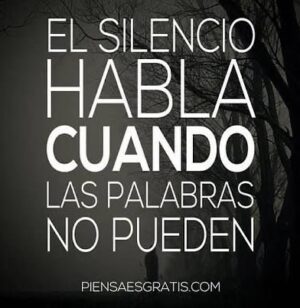 Sandra Berrocal Instagram - Mi silencio no significa que estĆ© de acuerdo contigo, si no que tu nivel de estupidez me ha dejado sin palabrasā¦ā¦