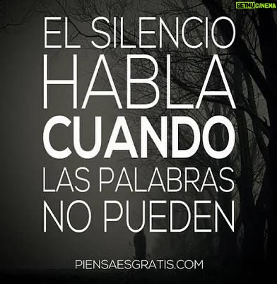 Sandra Berrocal - 62.5K Likes - Mi silencio no significa que esté de acuerdo contigo, si no que tu nivel de estupidez me ha dejado sin palabras……