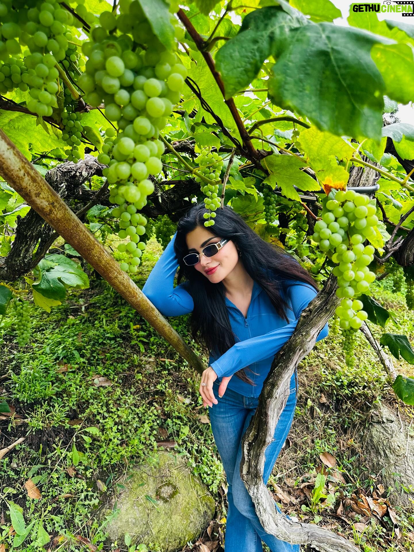 Sanjna Singh - 27.2K Likes - “Kahin baadalon mein uljha hua… ek khwab sa lagta hai Arunachal.” 

Swipe left 

#Arunachal #travel #explore