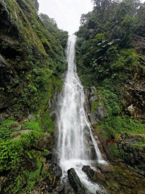 Sanjna Singh Instagram - “Kahin baadalon mein uljha hua… ek khwab sa lagta hai Arunachal.”
Swipe left
#Arunachal #travel #explore