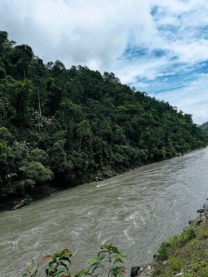 Sanjna Singh Instagram - “Kahin baadalon mein uljha hua… ek khwab sa lagta hai Arunachal.”
Swipe left
#Arunachal #travel #explore