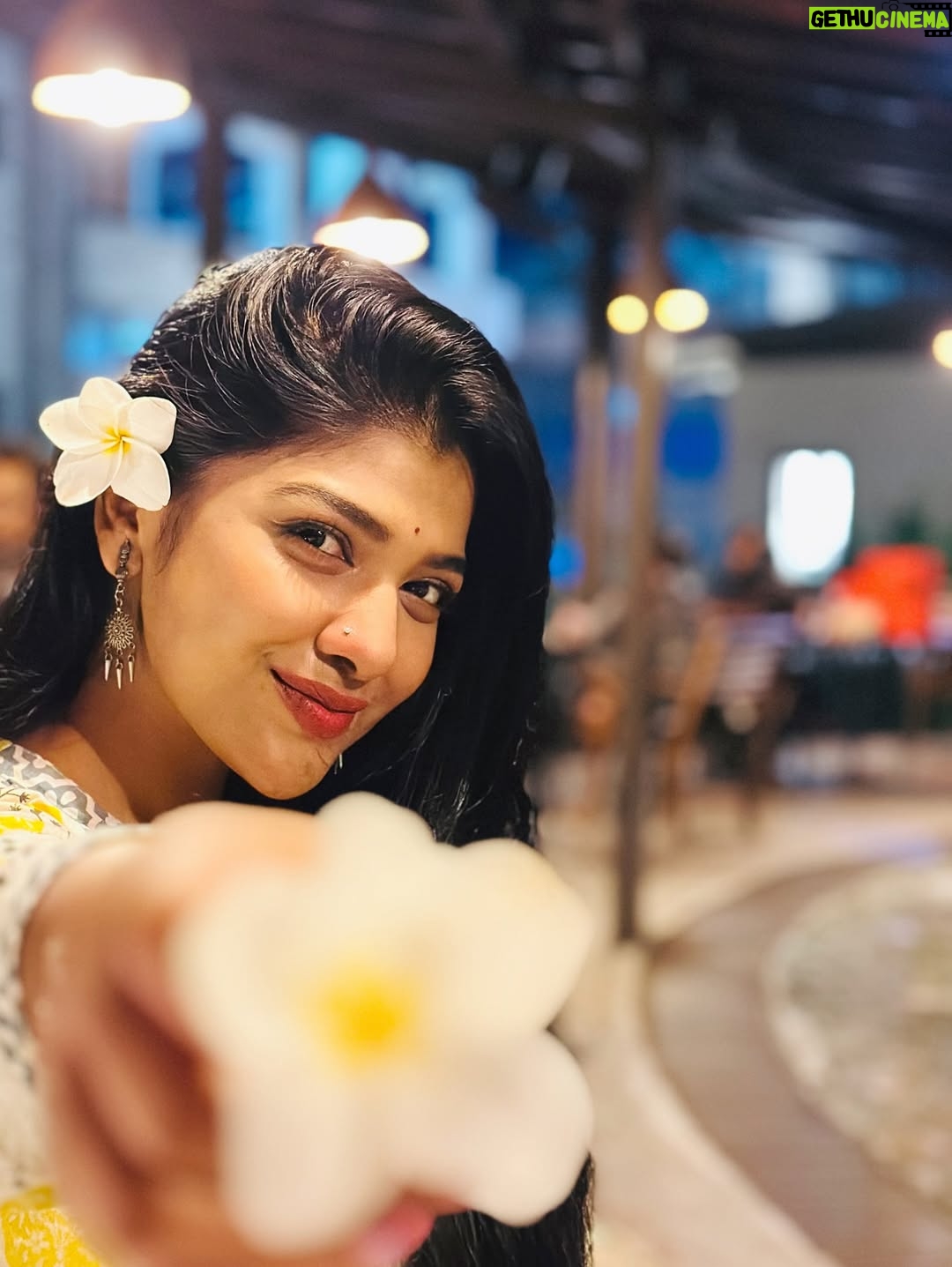 Sarika Sabah - 6.5K Likes - বুঝি তাকে শুধু অনুমানে পাওয়া যায়
চলে যাবে বলে আসে কেন প্রিয় সে মোর হায়? ✨