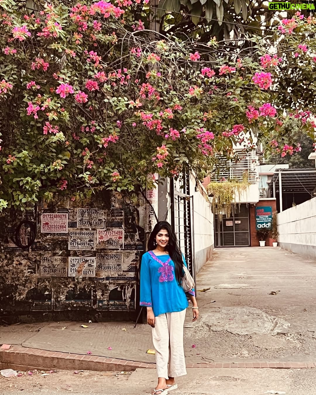 Sarika Sabah - 6.4K Likes - Young at age, old at soul 🕊️ 

#friday #fridayvibes #fridaymood