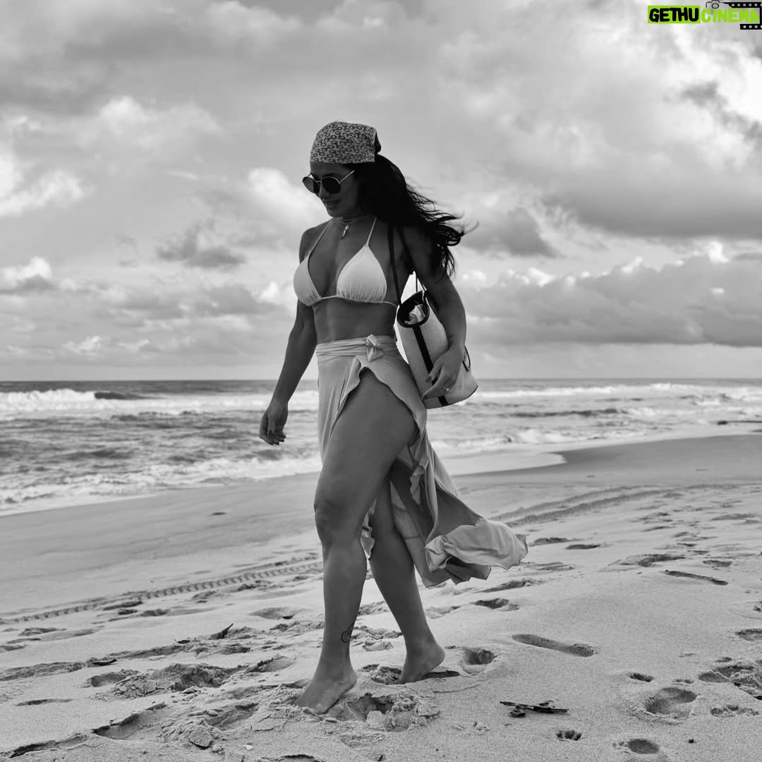 Scheila Carvalho - 64.7K Likes - Reenergizada ☀️🙌🏼✨🌊
