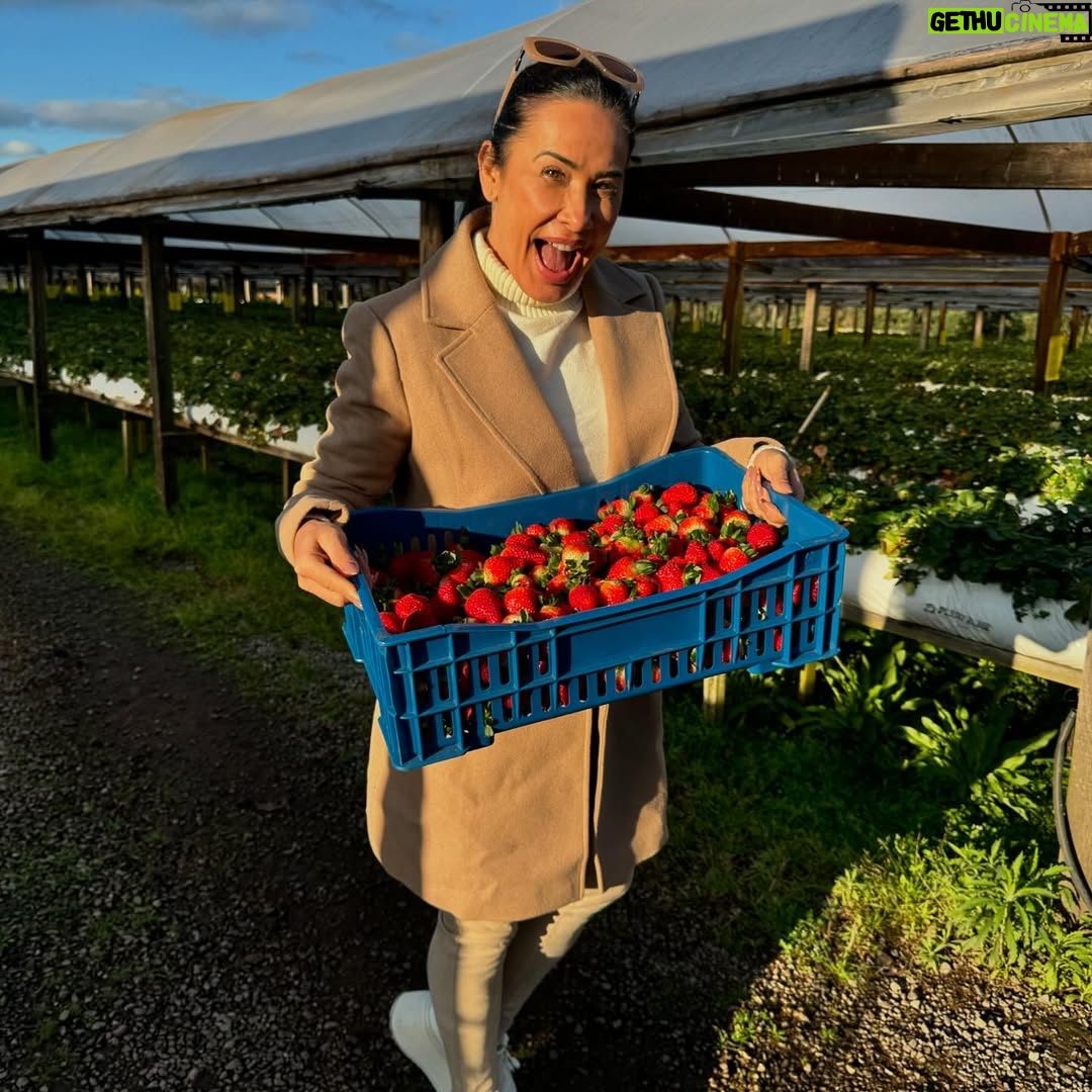 Scheila Carvalho - 77.5K Likes - Um resumo da semana  que passamos em Gramado e  em Bento Gonçalves ( Vale dos Vinhedos) .  Tudo  maravilhoso! Cidade linda, Hotel, comida… e os vinhos gaúchos ? Gente!!! Estamos encantados!  O frio que tava de lascar 😂🥶, mas a recepção  carinhosa  dos gaúchos  aqueceu  nossos corações ! Com certeza voltaremos  mais vezes né B @tonysallescantor ? 
#turistandoemgramado #turismonors