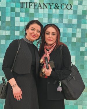 Shabnam Farshadjoo Instagram - #theatre #hamlet #shakespeare #downtown #toronto