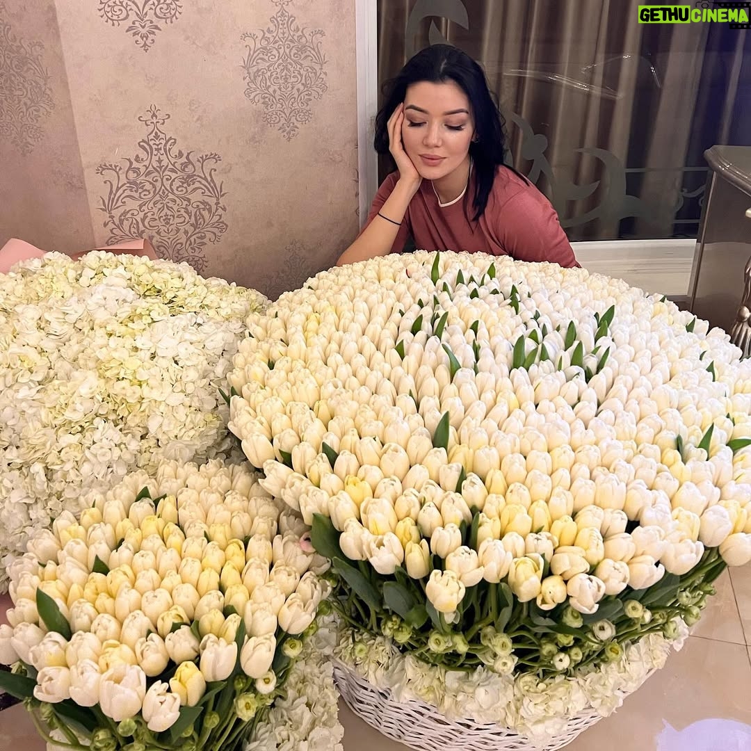 Shahzoda Matchanova - 63K Likes - Люблю - не магууу!🤪