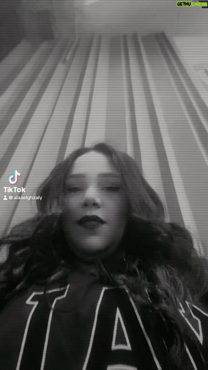 Shaimaa Saif - 206.5K Likes - الافيهات وخفة الدم بلسانى مش بالدهون والكرش هااا 🤛🏻 واخدالى بالك ياصفرا تعالى اشربى شاى عشان انا مقاطعة 😜