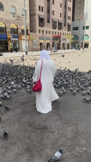 Shaimaa Saif Instagram - Ų§ŁŁŁŁ
ŁŁ Ų§ŁŲŁ
ŲÆ ŲŁ
ŲÆŲ§Ł ŁŲ«ŁŲ±Ų§Ł Ų·ŁŲØŲ§ Ų¹ŁŁ Ų§ŲŖŁ
Ų§Ł
ŁŲ±ŁŲ¶Ų© Ų§ŁŲŲ¬ Ų§ŁŲ°Ł Ų±Ų²ŁŁŁ ŲØŁŁŲ§ Ų§ŁŁŁ Ł
Ł ŲŗŁŲ± ŲŁŁ Ł
ŁŁ ŁŁŲ§ ŁŁŲ© šš»šš»š¤²š»š¤²š»š¤š¤ (Ł
Ų§ ŲÆŲ§Ų± Ł
Ł ŁŁŁ
Ų£ŁŲ¶Ł Ų¹ŁŲÆ Ų§ŁŁŁ Ł
Ł ŁŁŁ
Ų¹Ų±ŁŲ©Ų ŁŁŁŲ²Ł Ų§ŁŁŁ ŲŖŲ¹Ų§ŁŁ Ų„ŁŁ Ų³Ł
Ų§Ų” Ų§ŁŲÆŁŁŲ§Ų ŁŁŲØŲ§ŁŁ ŲØŲ£ŁŁ Ų§ŁŲ£Ų±Ų¶ Ų£ŁŁ Ų§ŁŲ³Ł
Ų§Ų”Ų ŁŁŁŁŁ: Ų§ŁŲøŲ±ŁŲ§ Ų„ŁŁ Ų¹ŲØŲ§ŲÆŁŲ Ų¬Ų§Ų¤ŁŁŁ Ų“Ų¹Ų«Ų§Ł ŲŗŲØŲ±Ų§Ł Ų¶Ų§Ų¬ŁŁŁŁŲ Ų¬Ų§Ų¤ŁŲ§ Ł
Ł ŁŁ ŁŲ¬ Ų¹Ł
ŁŁŲ ŁŲ±Ų¬ŁŁ Ų±ŲŁ
ŲŖŁŲ ŁŁŁ
ŁŲ±ŁŲ§ Ų¹ŁŲ§ŲØŁŲ ŁŁŁ
ŁŁŲ±Ł ŁŁŁ
Ų§Ł Ų£ŁŲ«Ų± Ų¹ŲŖŁŲ§Ł Ł
Ł Ų§ŁŁŲ§Ų±Ų Ł
Ł ŁŁŁ
Ų¹Ų±ŁŲ©) ŁŲ§Ų±ŲØ ŁŁŲŖŲØŁŲ§ ŁŁŁ Ł
Ų“ŲŖŲ§Ł ŁŲ§Ų±ŲØ š¤