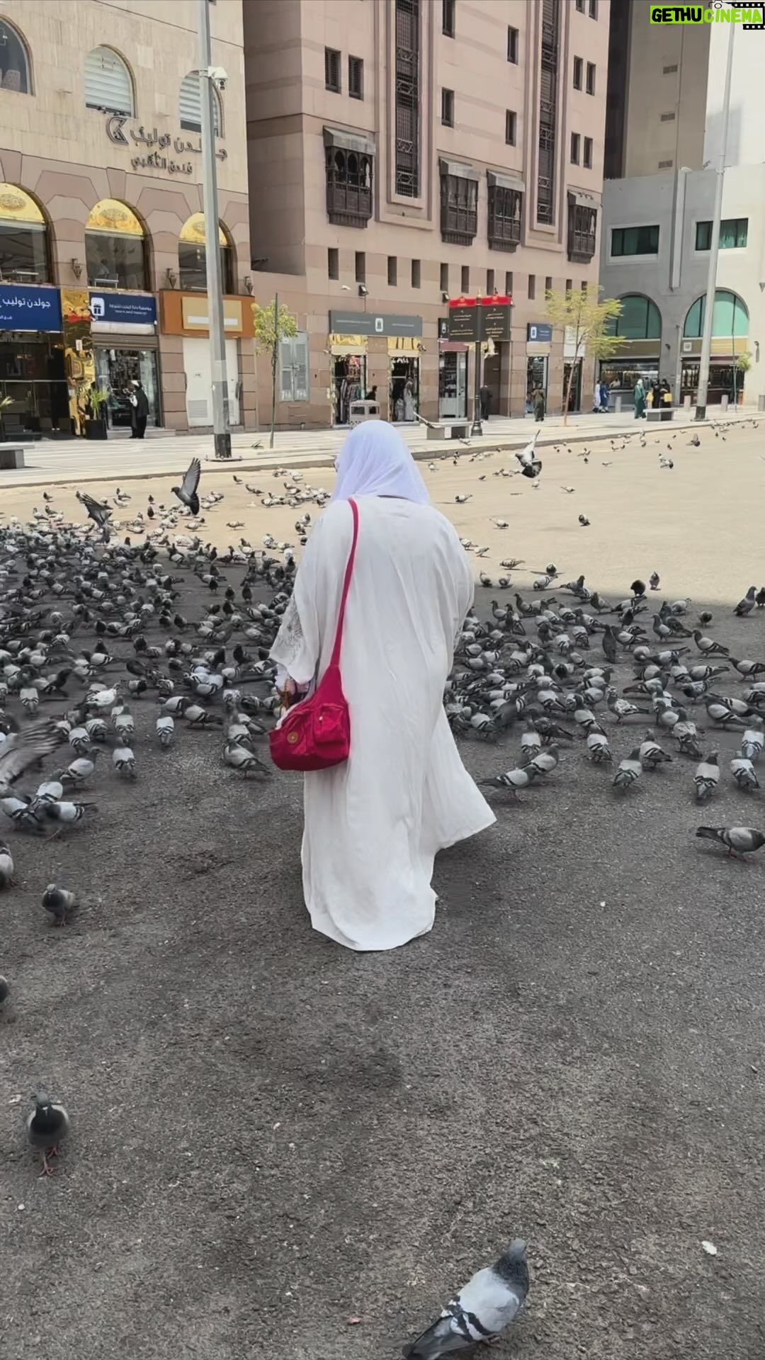 Shaimaa Saif - 105.5K Likes - اللهم لك الحمد حمداً كثيراً طيبا على اتمام فريضة الحج الذى رزقنى بيها الله من غير حول منى ولا قوة 🙏🏻🙏🏻🤲🏻🤲🏻🤍🤍 (ما دار من يوم أفضل عند الله من يوم عرفة، ينـزل الله تعالى إلى سماء الدنيا، فيباهي بأهل الأرض أهل السماء، فيقول: انظروا إلى عبادي، جاؤوني شعثاً غبراً ضاجِّين، جاؤوا من كل فج عميق، يرجون رحمتي، ولم يروا عقابي، فلم يُرَ يوماً أكثر عتقاً من النار، من يوم عرفة)  يارب يكتبها لكل مشتاق يارب 🤍