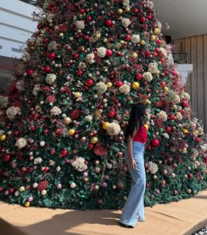 Shanudrie Priyasad Instagram - Merry and bright❤️🎄
Sending love to all this season!
Christmas 24 | celebrations | season | december