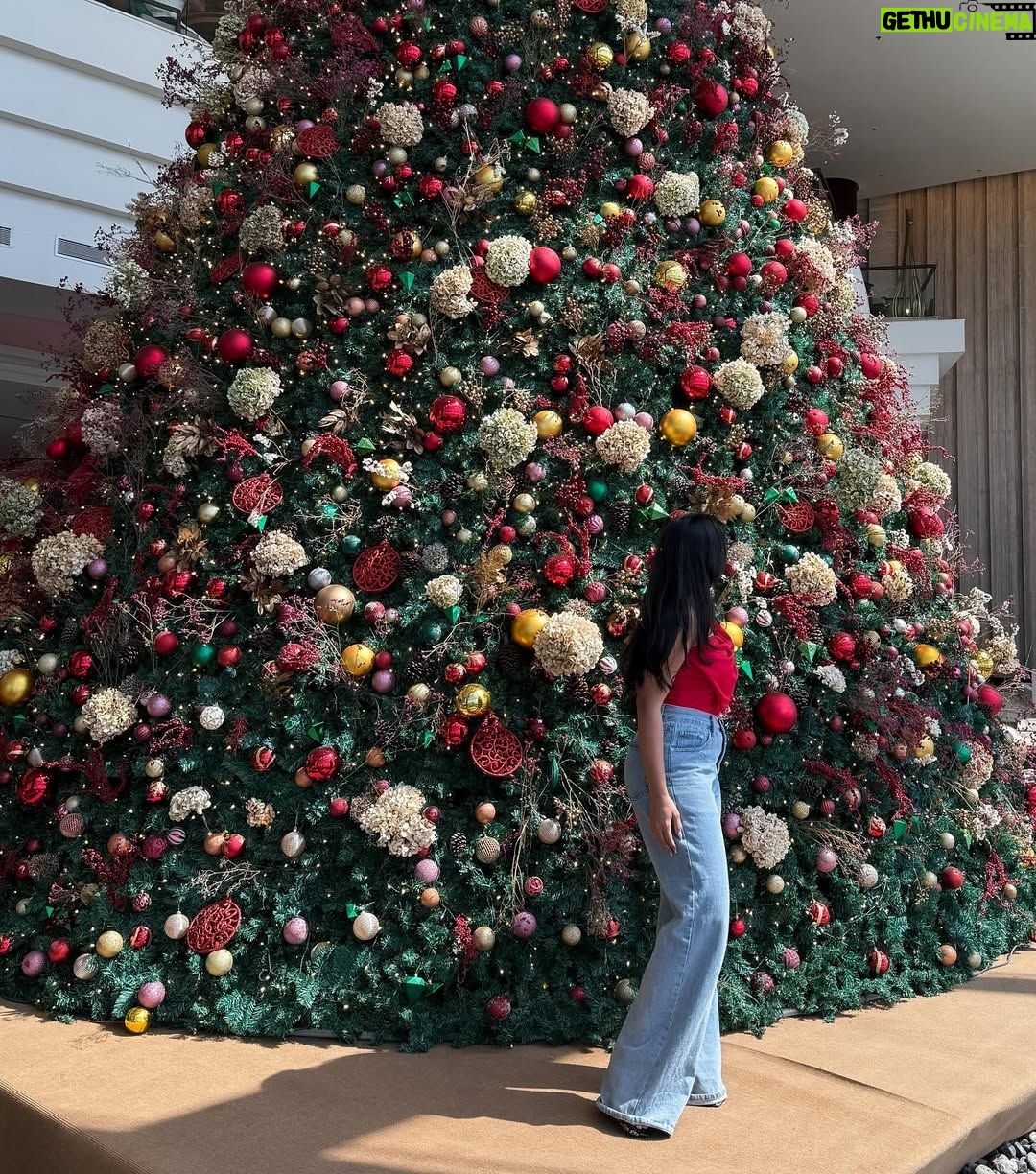 Shanudrie Priyasad - 58.2K Likes - Merry and bright❤️🎄

Sending love to all this season!

Christmas 24 | celebrations | season | december