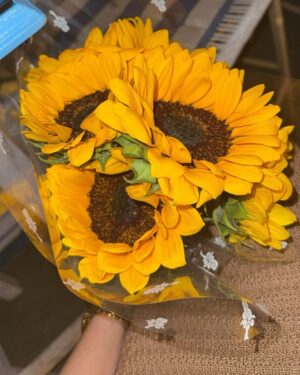 Sheetal Musterya Instagram - 🤎🌻