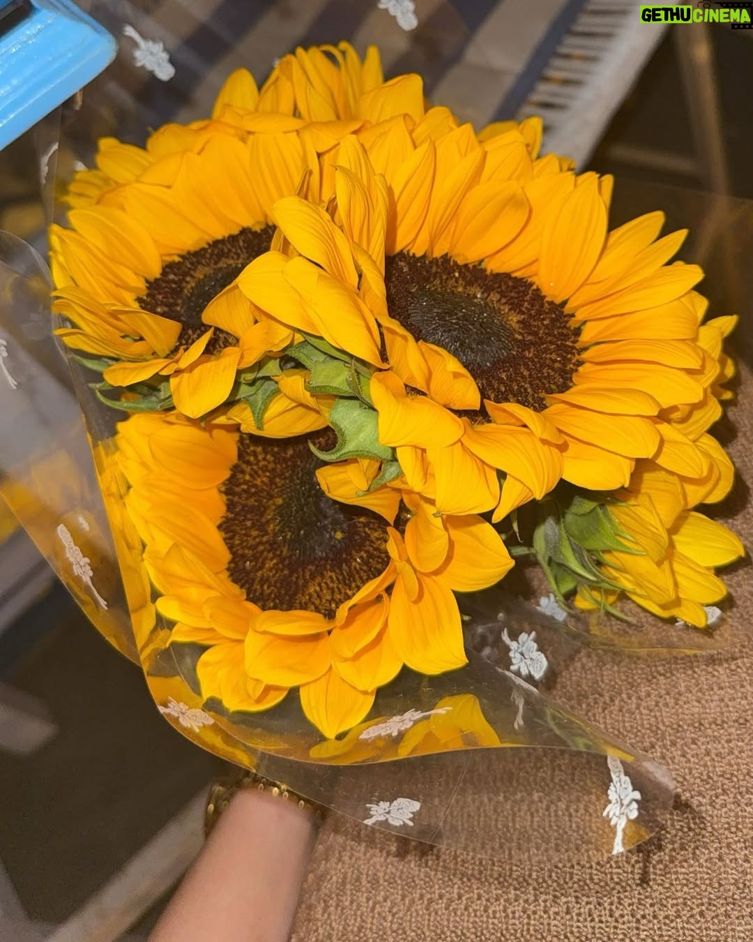Sheetal Musterya - 39.6K Likes - 🤎🌻