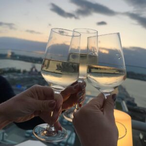 Sheila Mello Instagram - Quando a vista Ć© linda, o vinho Ć© bom e a companhia Ć© forte, a vida se brinda com mais sentido.
Em NY para celebrar o nascimento de um livro que carrega histórias reais e transformadoras.
@cleopillon que presente fazer parte disso com vocĆŖs @roneiaforteoficial