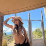 Shirley Arica