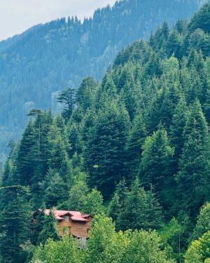 Shiyya Instagram - Dil BANJAARA 💭
.
#trending #mountain #travelling #travel #explore #tree #himachalpradesh #influencer #fashiongram #instagram #travelphotography #travelling #travelgram #travelinstyle #lifestyle