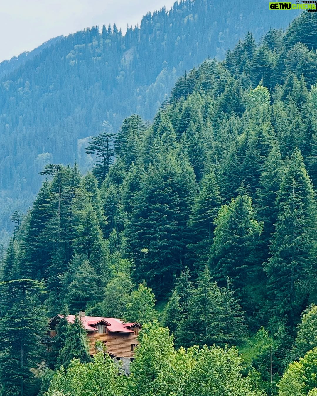 Shiyya - 92.1K Likes - Dil BANJAARA 💭 
.
#trending #mountain #travelling #travel #explore #tree #himachalpradesh #influencer #fashiongram #instagram #travelphotography #travelling #travelgram #travelinstyle #lifestyle