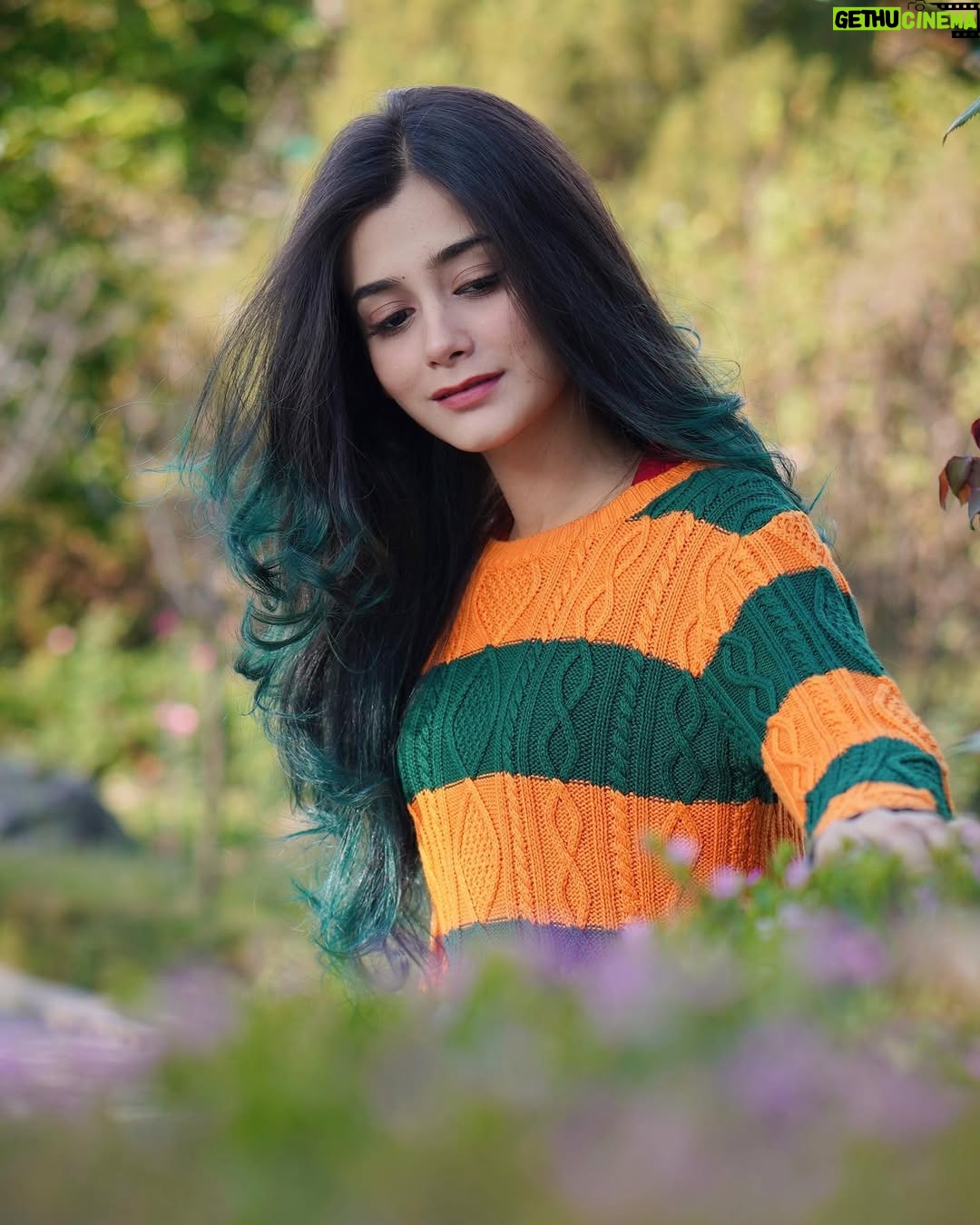 Shiyya - 81K Likes - Green & Orange 🍊 
.
#trendingnow #trend #explore #explorepage #love #happy #vibes #meta #shiyyans #instagram #instagood #happyvibes #beauty #beautiful #foryou #himachal #influencer #videocreator #travelphotography #travelgram