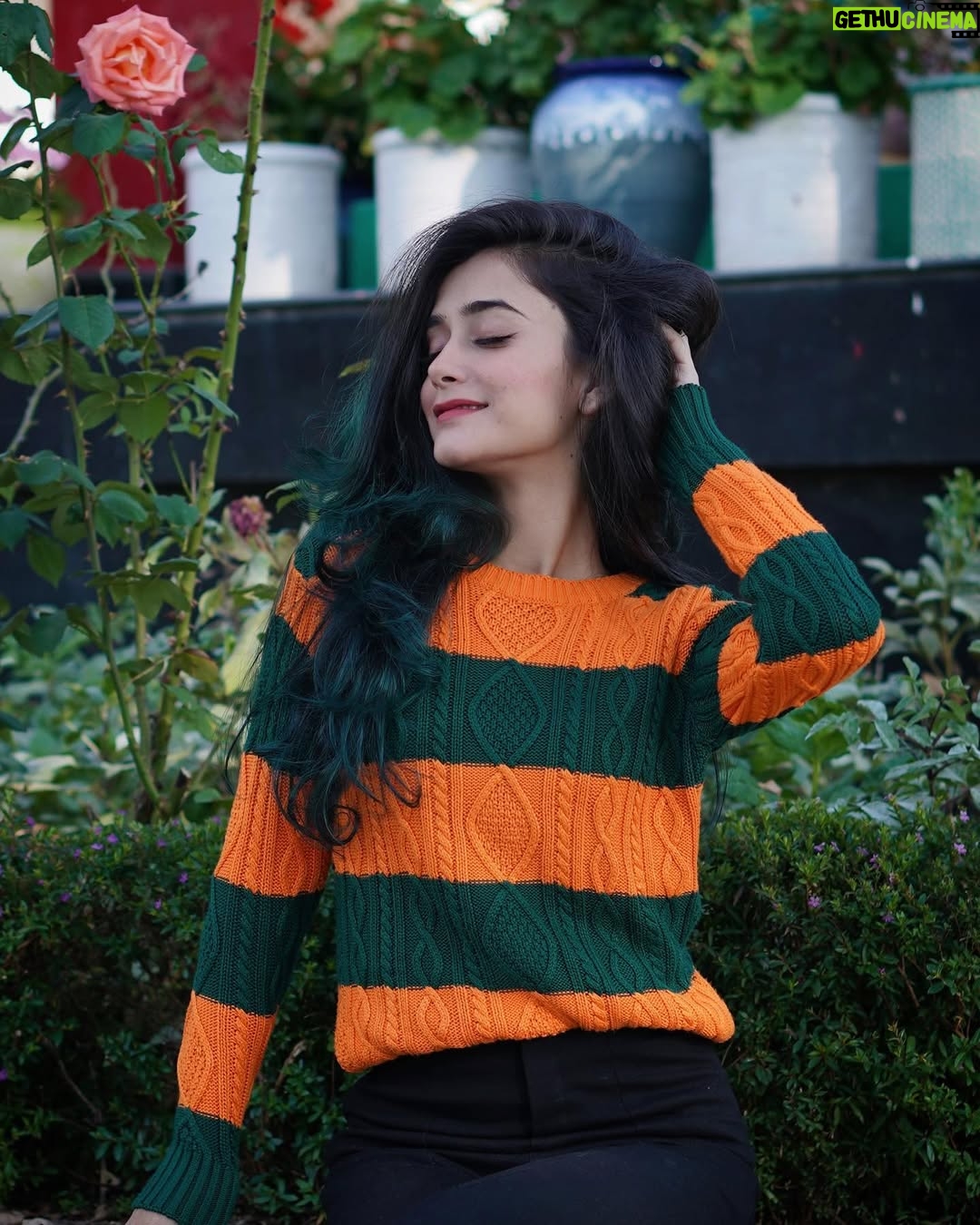 Shiyya - 81K Likes - Green & Orange 🍊 
.
#trendingnow #trend #explore #explorepage #love #happy #vibes #meta #shiyyans #instagram #instagood #happyvibes #beauty #beautiful #foryou #himachal #influencer #videocreator #travelphotography #travelgram