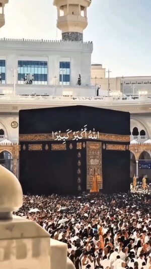 Shokran Mortga Instagram - الله أكبر كبيرا والحمدلله كثيرا
الله أكبر الله أكبر الله أكبر لا إله إلا الله الله أكبر الله أكبر ولله الحمد
#يوم_عرفة
#دعاء_يوم_عرفة
#عرفة
#أعظم_يوم
#صيام_عرفة
#فضل_يوم_عرفة
#خير_يوم
#يوم_الدعاء
#يوم_الوقفة
#الحج_الأكبر
#رحمة_ومغفرة
#عرفة_2025
#اللهم_بلغنا_عرفة
#وقفة_عرفة 🙏🏻🤍
