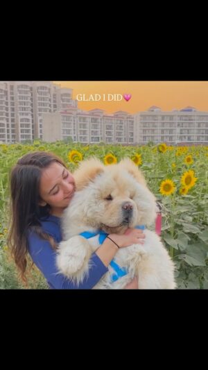 Shruti Bkshi Instagram - I’m so glad I stopped giving chances to people who didn’t deserve them. My heart is too precious to be handed to those who never knew how to hold it. Protecting my peace has been my greatest act of self-love.😌❤️
#reels #reelsi̇nstagram #explore #explorepage #trending #trendingreels #viral #relatable #relationships #selflove