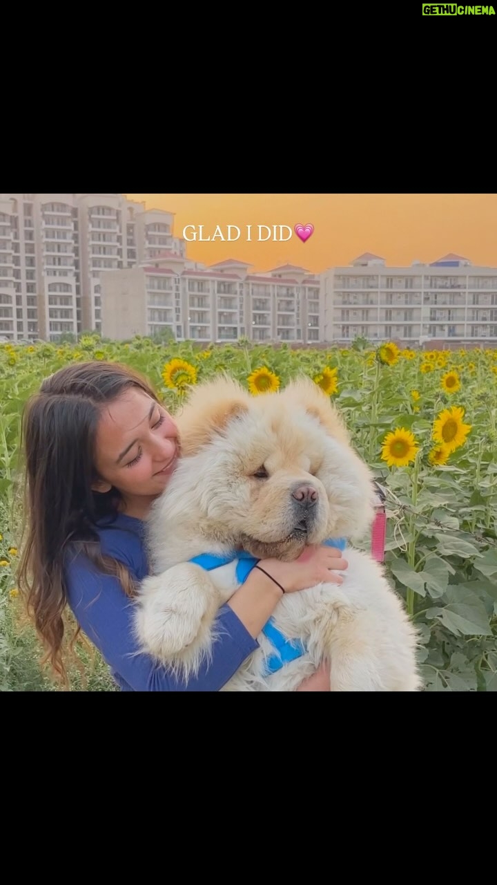 Shruti Bkshi - 67.2K Likes - I’m so glad I stopped giving chances to people who didn’t deserve them. My heart is too precious to be handed to those who never knew how to hold it. Protecting my peace has been my greatest act of self-love.😌❤️

#reels #reelsi̇nstagram #explore #explorepage #trending #trendingreels #viral #relatable #relationships #selflove