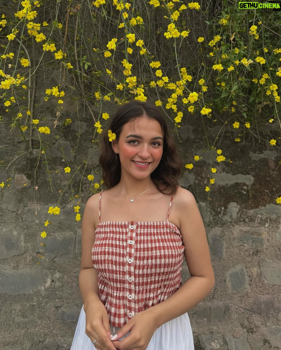 Shruti Bkshi - 19.2K Likes - are you in loveeee?🥰

#instapic #viral #picture #viral #explorepage #explore #flowers #view