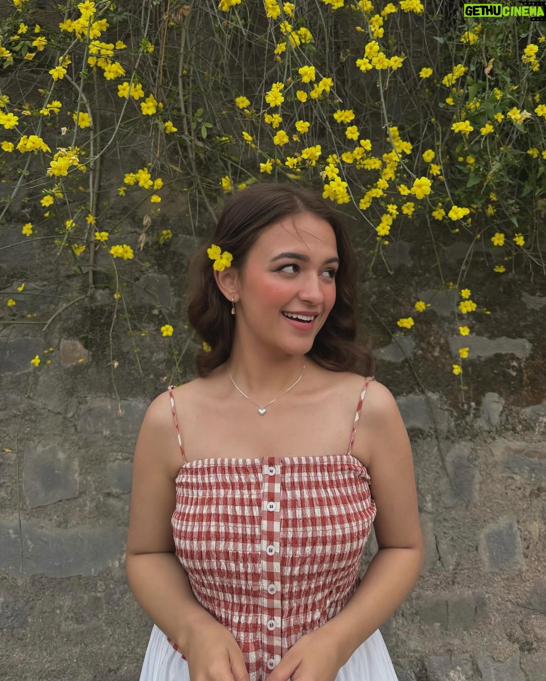 Shruti Bkshi - 19.2K Likes - are you in loveeee?🥰

#instapic #viral #picture #viral #explorepage #explore #flowers #view
