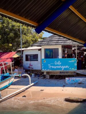 Shubhi Bharal Instagram - Gili Core! ♥️🤌🏼 I’d totally go back here without thinking twice! 🫶🏼 
#gilitrawanganisland #gilitrawanganlombok #bali🌴 #TTStravels #ShubhiBharal #ThatTrendStalker