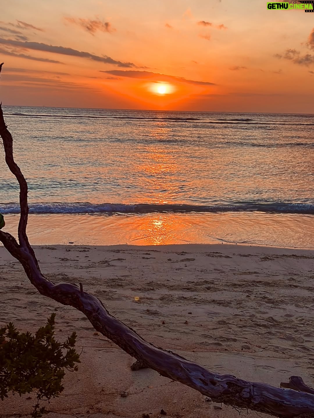Shubhi Bharal - 3 Likes - Gili Core! ♥️🤌🏼 I’d totally go back here without thinking twice! 🫶🏼 
#gilitrawanganisland #gilitrawanganlombok #bali🌴 #TTStravels #ShubhiBharal #ThatTrendStalker