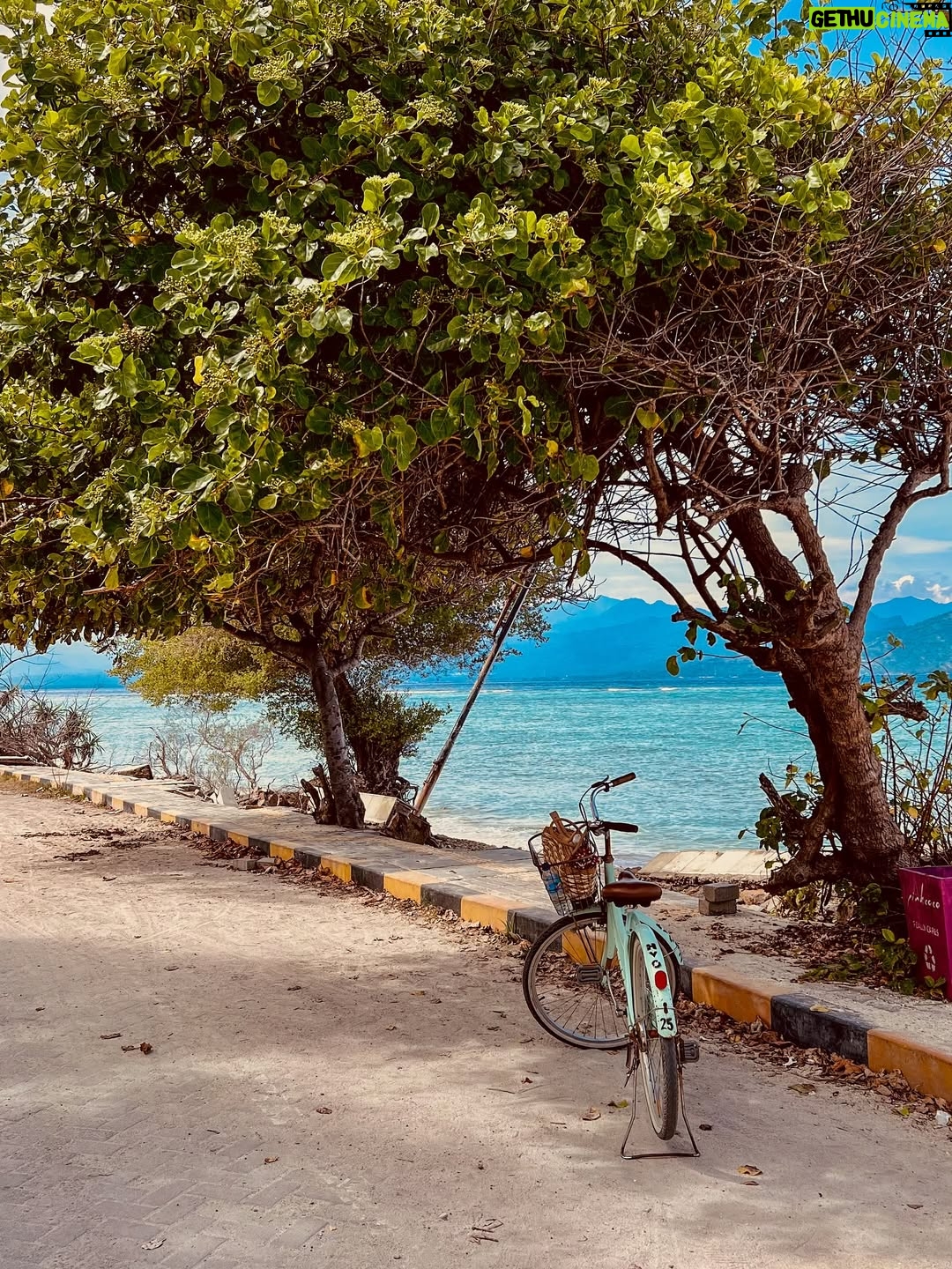 Shubhi Bharal - 3 Likes - Gili Core! ♥️🤌🏼 I’d totally go back here without thinking twice! 🫶🏼 
#gilitrawanganisland #gilitrawanganlombok #bali🌴 #TTStravels #ShubhiBharal #ThatTrendStalker