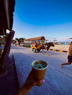 Shubhi Bharal Instagram - Gili Core! ♥️🤌🏼 I’d totally go back here without thinking twice! 🫶🏼 
#gilitrawanganisland #gilitrawanganlombok #bali🌴 #TTStravels #ShubhiBharal #ThatTrendStalker