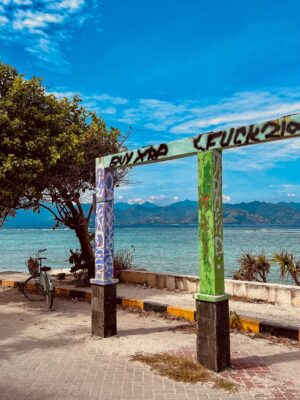 Shubhi Bharal Instagram - Gili Core! ♥️🤌🏼 I’d totally go back here without thinking twice! 🫶🏼 
#gilitrawanganisland #gilitrawanganlombok #bali🌴 #TTStravels #ShubhiBharal #ThatTrendStalker