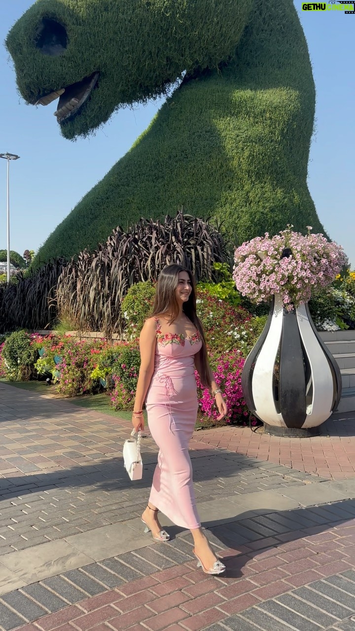 Shweta Singh - 56.8K Likes - 🪷💕