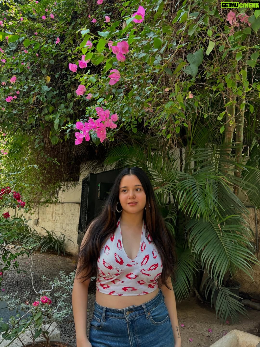 Siddhida Pathak - 8K Likes - 🥰