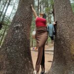 Simla Sikder
