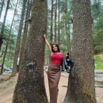 Simla Sikder