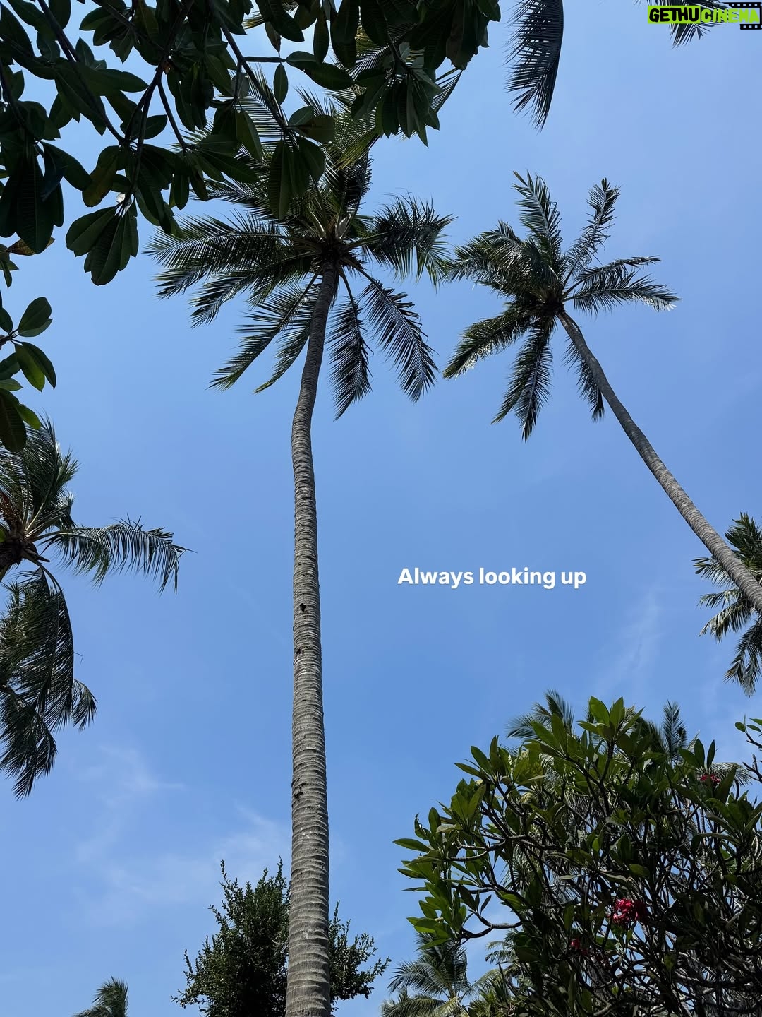 Siti Saleha - 17.7K Likes - Babymoon not over yet 🥰

#SallynJoshTravels