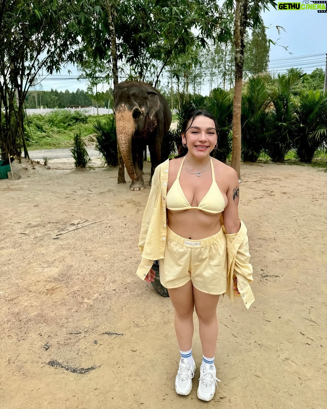 Sofia Castro - 269.5K Likes - Un poco de modelaje, un poco de rostro, un poco de retención de líquidos, un poco de mujeres hermosas, un poco de joyería, un poco de parejas aspiracionales, un poco de lágrimas, un poco de animales salvajes, un poco de relajación, un poco de consejería, un poco de bikini, un poco de nuevas amistades💘💘💘💘