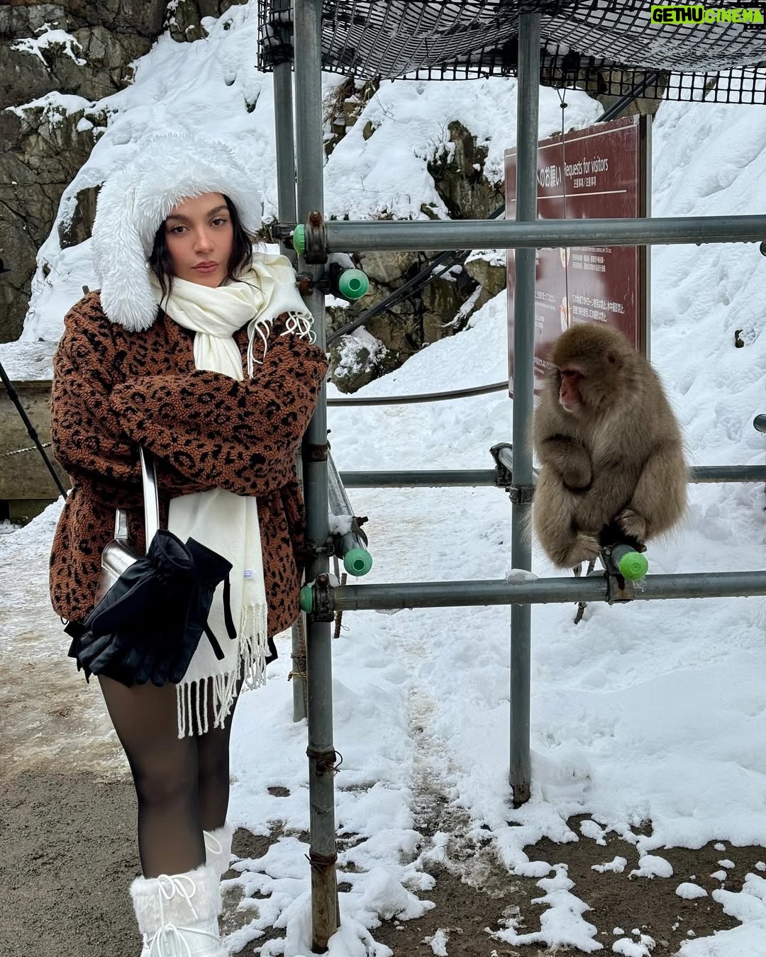 Sofia Castro - 236.6K Likes - Y como hoy es el cumpleaños de mi mamá @frikitravelmx la llevo a hacer su plan favorito del mundo, ver macacos en Japón, claro que si como de que no ❤️🐒🌨️