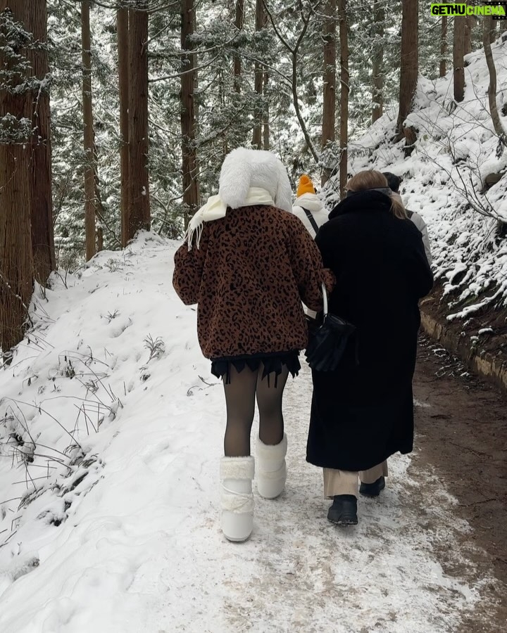 Sofia Castro - 236.6K Likes - Y como hoy es el cumpleaños de mi mamá @frikitravelmx la llevo a hacer su plan favorito del mundo, ver macacos en Japón, claro que si como de que no ❤️🐒🌨️