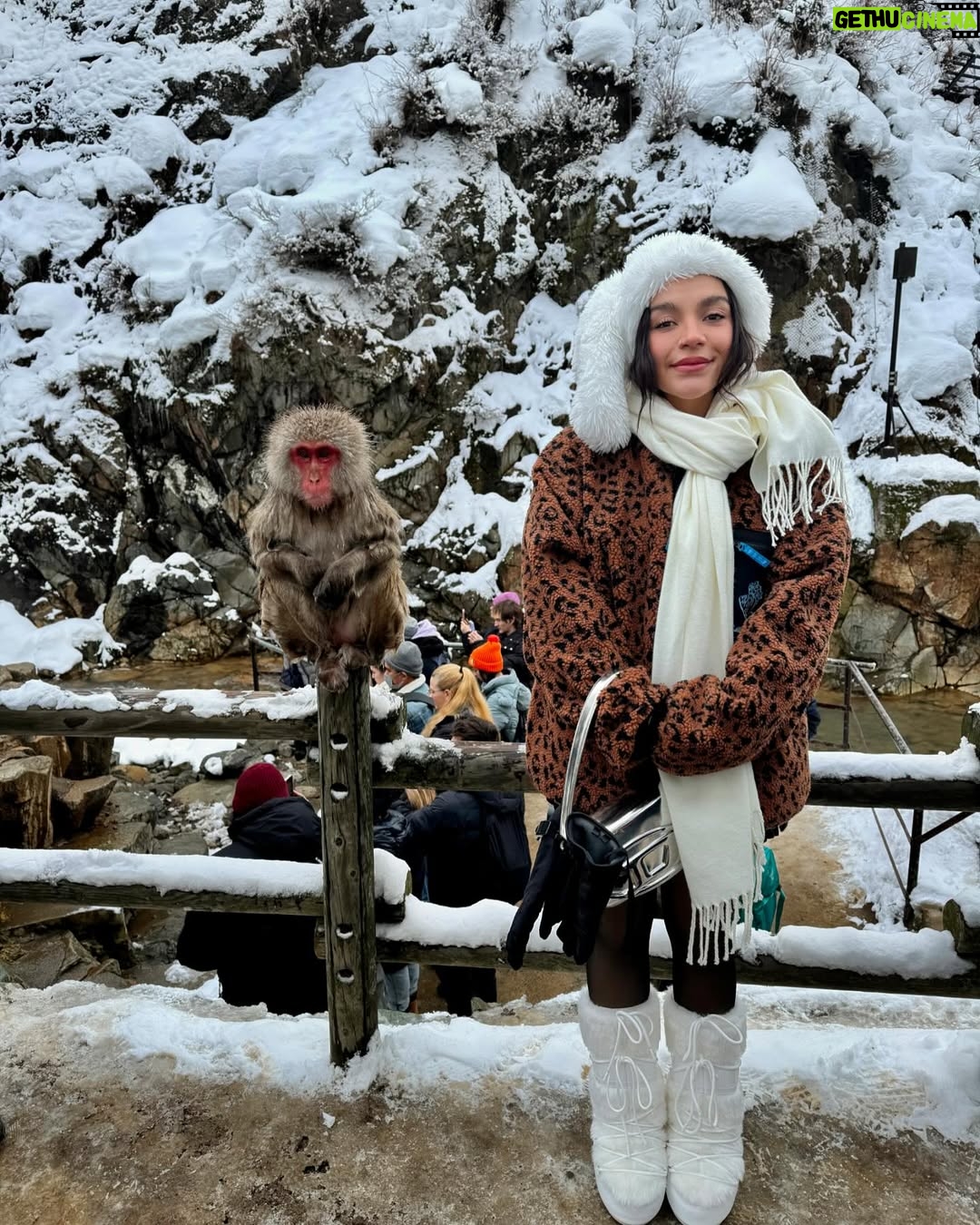 Sofia Castro - 236.6K Likes - Y como hoy es el cumpleaños de mi mamá @frikitravelmx la llevo a hacer su plan favorito del mundo, ver macacos en Japón, claro que si como de que no ❤️🐒🌨️