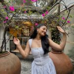 Somya Gupta
