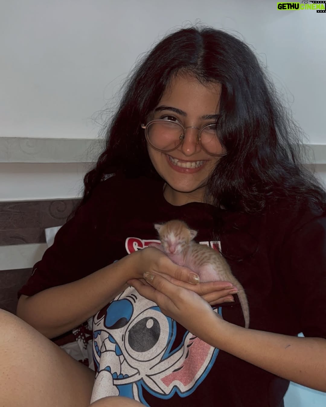 Sonali Priya - 14.5K Likes - we’re loving motherhood 💗
we’re not holding the same kitten 
it’s three different onesssss
our cat birthed one for each of us 🧚🏻‍♂️🧚🏻‍♀️🧚🏻
@indiapost_dop 
#petsofindia