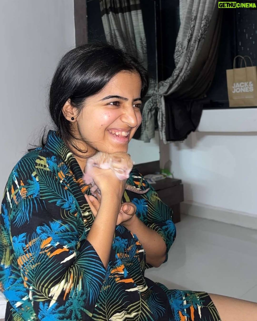 Sonali Priya - 14.5K Likes - we’re loving motherhood 💗
we’re not holding the same kitten 
it’s three different onesssss
our cat birthed one for each of us 🧚🏻‍♂️🧚🏻‍♀️🧚🏻
@indiapost_dop 
#petsofindia